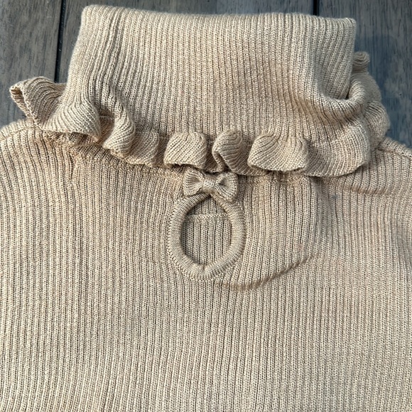 Brown Ruffled Turtle Neck - Picture 2 of 4